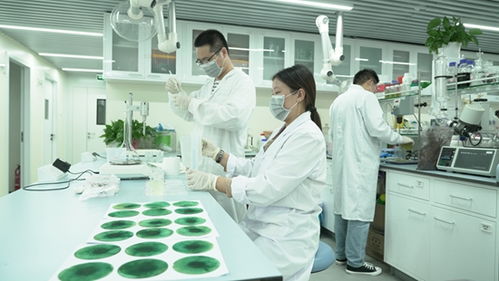 新洋豐 高舉創(chuàng)新大旗，引領農(nóng)業(yè)科學研究和試驗發(fā)展