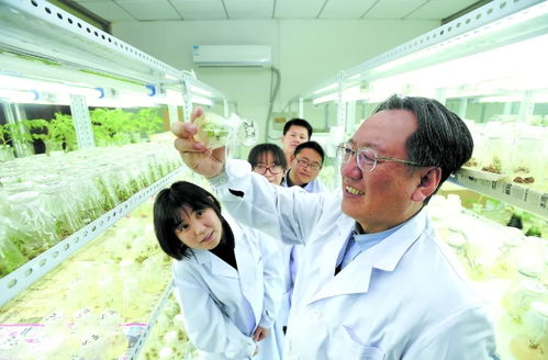 三聚焦賦能區(qū)域全面振興 農(nóng)業(yè)科研與試驗發(fā)展的關鍵路徑