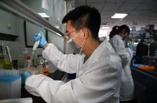 學術裁縫 農(nóng)業(yè)科學研究中的論文灌水套路與危害