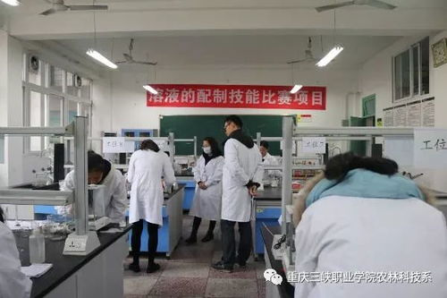 農(nóng)林科技系第六屆技能大賽 助力農(nóng)業(yè)科研與試驗發(fā)展新篇章