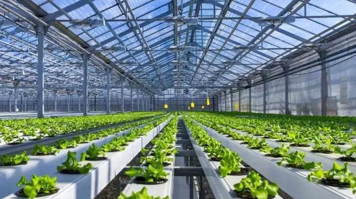 智慧農業(yè)新突破 山東省設施園藝智慧農業(yè)裝備重點實驗室獲批成立