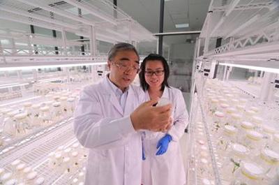 5·30來啦！河南科技工作者暢談農業(yè)科學研究和試驗發(fā)展新篇章