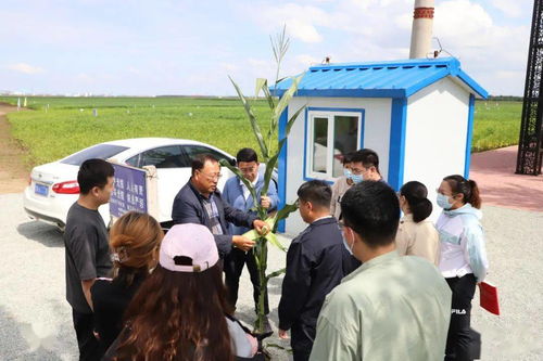 走進中國農業(yè)科學院北方大豆研究中心試驗示范基地 青年大學習中的農業(yè)科技力量