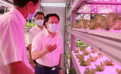 鄭柵潔調(diào)研省農(nóng)科院 強(qiáng)化市場(chǎng)與效率意識(shí)，驅(qū)動(dòng)農(nóng)業(yè)科技創(chuàng)新新篇章