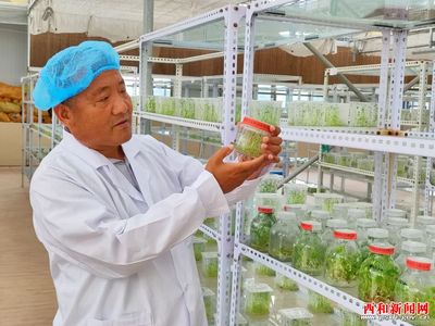 凝神謀發(fā)展 實(shí)干興隴原——“三抓三促”行動(dòng)專(zhuān)題報(bào)道 | 西和 民樂(lè)種業(yè) 實(shí)業(yè)興農(nóng) 以科研創(chuàng)新驅(qū)動(dòng)農(nóng)業(yè)現(xiàn)代化