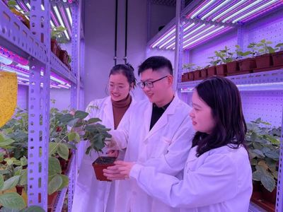 河南大學(xué) 聚焦農(nóng)業(yè)科技創(chuàng)新，打造現(xiàn)代農(nóng)業(yè)發(fā)展新高地