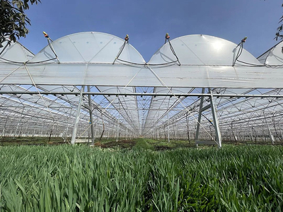 智慧果園“變形記” 農(nóng)業(yè)科學(xué)研究的未來(lái)試驗(yàn)場(chǎng)